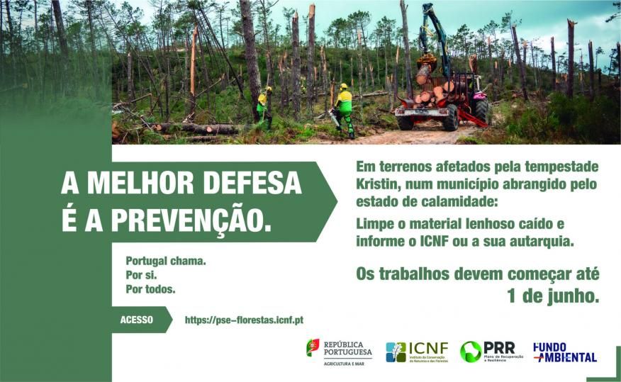 Opera&ccedil;&otilde;es de Gest&atilde;o Florestal - Tempestade Kristin