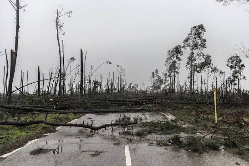 Aviso - Gest&atilde;o Florestal - Tempestade Kristin